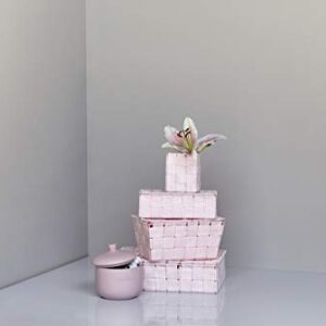 WENKO Storage Basket Adria with lid in Pink, PP, 19 x 14 x 10 cm