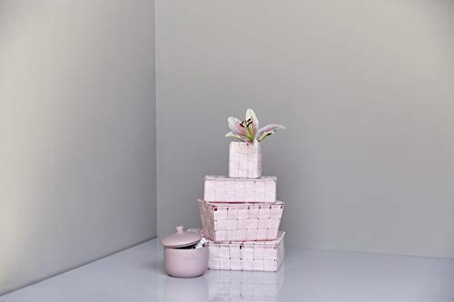 WENKO Storage Basket Adria with lid in Pink, PP, 19 x 14 x 10 cm