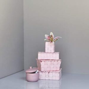 WENKO Storage Basket Adria with lid in Pink, PP, 19 x 14 x 10 cm