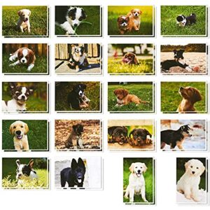 40 pack puppy dog postcards bulk set - all occasion assorted blank post cards greeting bulk box set - 4 x 6 inches