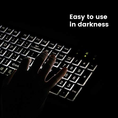Perixx PERIBOARD-317 Wired Backlit USB Keyboard, Big Print Letter with White Illuminated LED, US English Layout