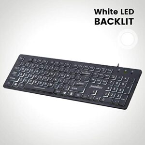 Perixx PERIBOARD-317 Wired Backlit USB Keyboard, Big Print Letter with White Illuminated LED, US English Layout