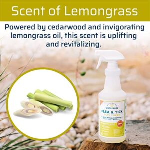 Wondercide - Flea, Tick and Mosquito Spray for Dogs, Cats, and Home - Flea and Tick Killer, Control, Prevention, Treatment - with Natural Essential Oils – 4 oz Lemongrass & Cedarwood 2-Pack