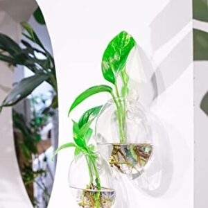 Ivolador Wall Mounted Plant Terrariums Oblate Hanging Glass Propagation Station Container for Propagating Hydroponic Plants Home Garden Wedding Décor