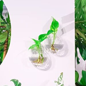 Ivolador Wall Mounted Plant Terrariums Oblate Hanging Glass Propagation Station Container for Propagating Hydroponic Plants Home Garden Wedding Décor