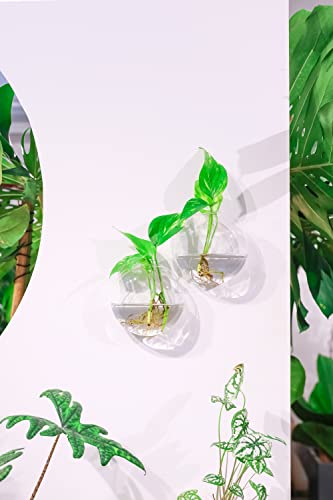 Ivolador Wall Mounted Plant Terrariums Oblate Hanging Glass Propagation Station Container for Propagating Hydroponic Plants Home Garden Wedding Décor