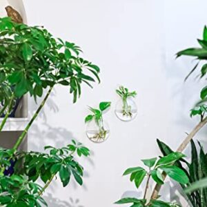 Ivolador Wall Mounted Plant Terrariums Oblate Hanging Glass Propagation Station Container for Propagating Hydroponic Plants Home Garden Wedding Décor