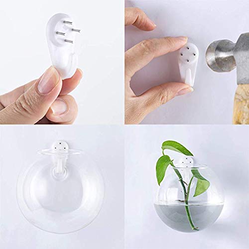 Ivolador Wall Mounted Plant Terrariums Oblate Hanging Glass Propagation Station Container for Propagating Hydroponic Plants Home Garden Wedding Décor
