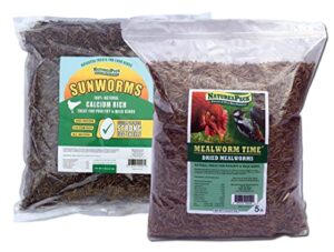 naturespeck worm combo - 10 lbs (5lbs mealworms + 5lbs sunworms)