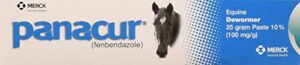 (3 pack) panacur dewormer horse paste 10%, 100mg each