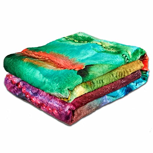 QH with Colorful Butterfly Velvet Plush Throw Blanket(Large) Super Soft and Cozy Fleece Blanket Perfect for Couch Sofa or Bed