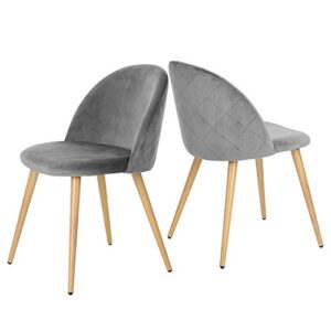 GreenForest Dining Chairs Set of 2, Modern Velvet Kitchen Room Chair Upholstered Accent Leisure Side Chairs with Metal Legs, Gray