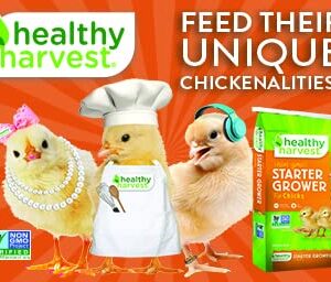 Healthy Harvest N1039C5 1 Piece 22-Percent Chick Starter Grower Crumbles For Poultry, 5 Lb