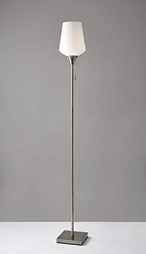 Adesso 4266-22 Roxy Floor Lamp, 71 in., 100W Incandescent/20W CFL, Brushed Steel Finish, 1 Tall Lamp