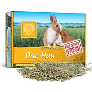 small pet select oat hay pet food, 10 lb.