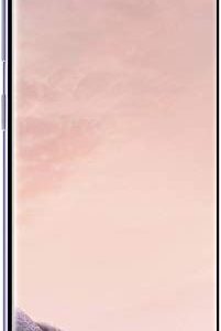 Samsung Galaxy S8 64GB Unlocked Phone - US Version (Orchid Gray)