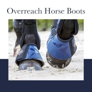 LeMieux ProShell Overreach Horse Boots - Over Reach or Bell Boots for Horses - Protective Gear and Training Equipment - Equine Boots, Wraps & Accessories (Navy - Medium)