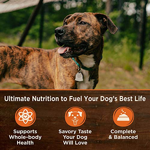 Wellness CORE 95% Natural Wet Grain Free Canned Dog Food, Beef & Carrots,12.5-Ounce Can (Pack of 12)