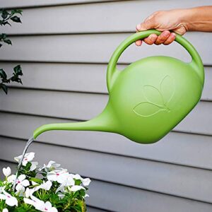 Novelty 30601 Indoor Watering Can, 1/2 Gallon, Green