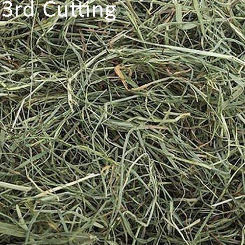 Small Pet Select-Sampler Box, 2ND Cutting, 3RD Cutting Timothy Hay, Oat Hay, & Orchard Hay