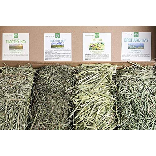 Small Pet Select-Sampler Box, 2ND Cutting, 3RD Cutting Timothy Hay, Oat Hay, & Orchard Hay