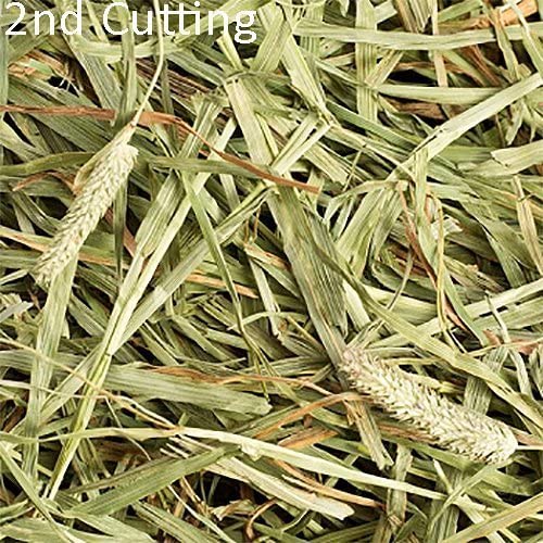 Small Pet Select-Sampler Box, 2ND Cutting, 3RD Cutting Timothy Hay, Oat Hay, & Orchard Hay