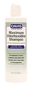 davis maximum chlorhexidine pet shampoo, 12 oz