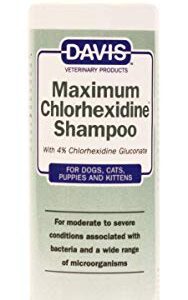 Davis Maximum Chlorhexidine Pet Shampoo, 12 oz