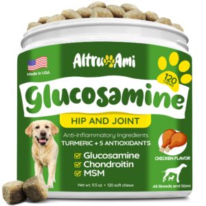 glucosamine for dogs - hip & joint supplement for dogs - arthritis pain relief chews with chondroitin, msm, turmeric, vitamin c & e - for large, medium & small dog - health supplies made in usa