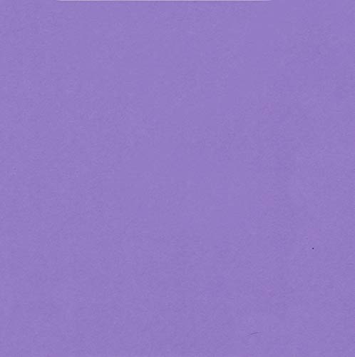 Grape Purple Cardstock - 8.5 x 11 inch - 65Lb Cover - 50 Sheets - Clear Path Paper