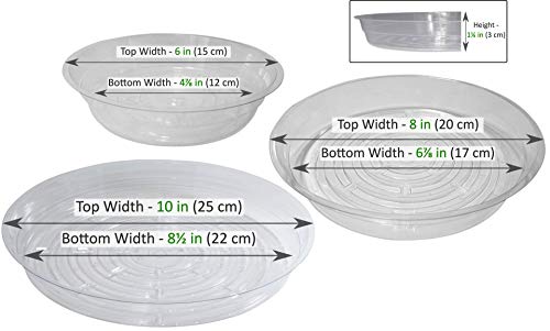 YOUniversal Products 15 Pack of 6, 8,10 Inch Clear Plant Saucer Drip Trays