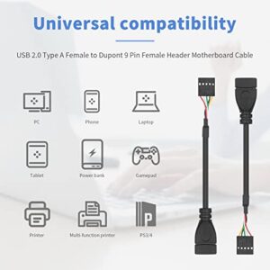 Duttek USB Header to USB Cable,Motherboard USB 2.0 Adapter Cable, USB 2.0 Type A Female to Dupont 9 Pin Female Header Motherboard Cable Cord (2-Pack 0.1M)