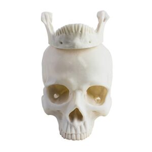 Life Size 1:1 Replica Realistic Human Skull Head Bone Model, Made with Resin