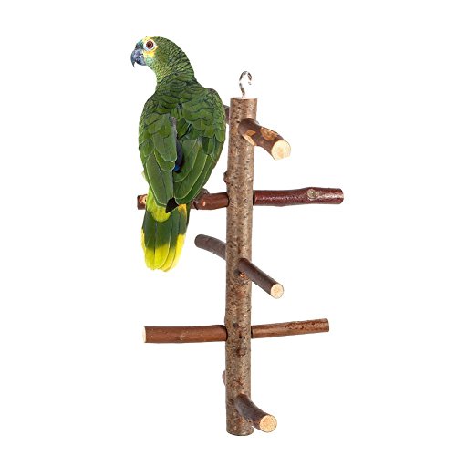 Parrot Birds Perches Paw Grinding Toy,Cage Stand Toy,Hanging Wooden Activity Branches Climbing Stairs,for Budgies,Small Birds,Parakeet,Cockatiel