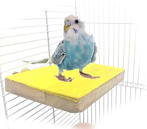 Colorful Bird Perch Stand Platform Natural Wood Playground Paw Grinding Clean for Pet Parrot Budgies Parakeet Cockatiels Conure Lovebirds Rat Mouse Cage Accessories Exercise Toys (Random)