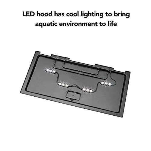 Aqueon Aquarium Fish Tank Starter Kit with LED Lighting 20 Gallon High Fish Tank