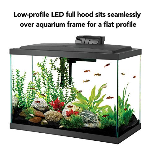 Aqueon Aquarium Fish Tank Starter Kit with LED Lighting 20 Gallon High Fish Tank