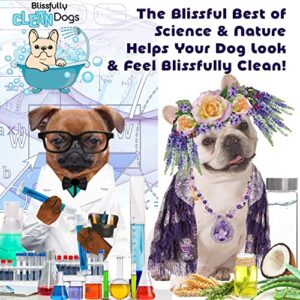 The Blissful Dog Shine-On + Sheen Coat Spray, All Natural, Leave-in Conditioner and Coat Detangler for Your Dog, 8 Oz