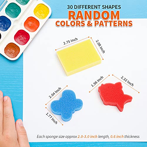 LEOBRO 30pcs Sponge Painting Shapes Painting Craft Sponge for Toddlers Assorted Pattern Early Learning Sponge