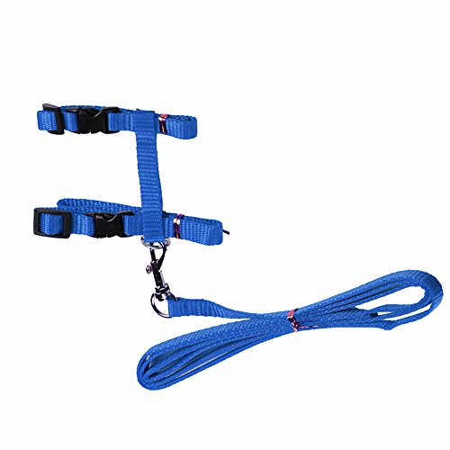 Gozier Pet Lead Leash Halter Harness Adjustable Safety Nylon Rope Strap Belt for Dog Cat Kitten (Blue)