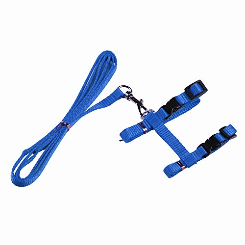 Gozier Pet Lead Leash Halter Harness Adjustable Safety Nylon Rope Strap Belt for Dog Cat Kitten (Blue)