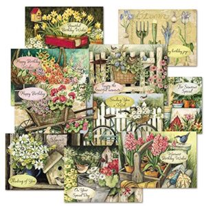 susan winget birthday greeting cards value pack - set of 20 (10 designs), large 5" x 7", happy birthday cards with sentiments inside, envelopes included