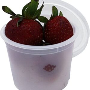 Vito's Famous Deli Container with Lid, 4 Ounce (Pack of 100)