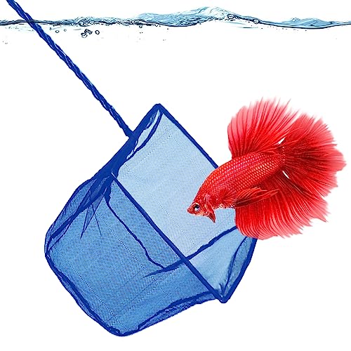 SunGrow Betta Fish Net, Protect Delicate Fin, 5x4 Inches with 11 Inches Handle, Extra Soft Nylon Net, Easy Routine Aquarium Tank Maintenance