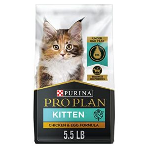 purina pro plan grain free, high protein, natural dry kitten food, chicken & egg formula - 5.5 lb. bag