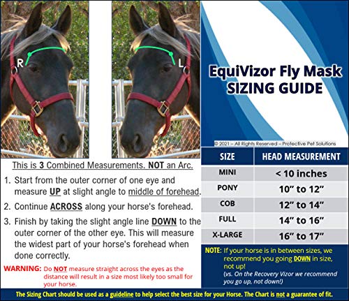 EquiVizor 95% UV Eye Protection (Size Mini) Horse Fly Mask with Ears. Uveitis, Corneal Ulcer, Cataract, Light Sensitive, Cancer. Designed to Stay On Your Horse, Off The Ground!