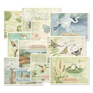 nature's sanctuary birthday greeting cards value pack - set of 20 (10 designs), large 5" x 7", happy birthday cards with sentiments inside