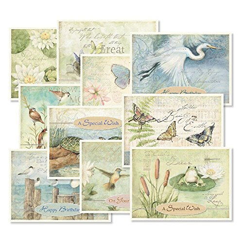 Nature's Sanctuary Birthday Greeting Cards Value Pack - Set of 20 (10 designs), Large 5" x 7", Happy Birthday Cards with Sentiments Inside