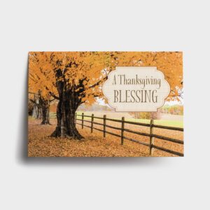 Thanksgiving - Inspirational Boxed Cards - Assorted