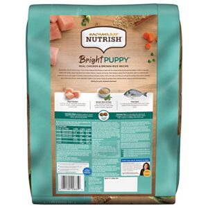 Rachael Ray Nutrish Bright Puppy Premium Natural Dry Dog Food, Real Chicken & Brown Rice Recipe, 14 Pounds (Packaging May Vary)